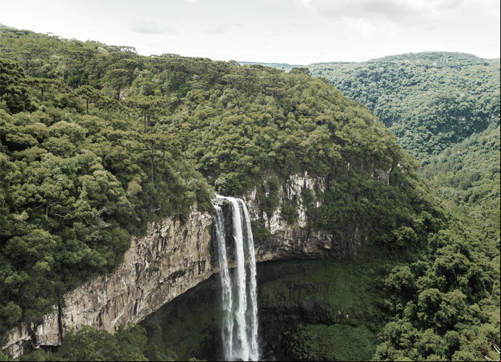 Ibama extends deadline for requests to convert environmental fines