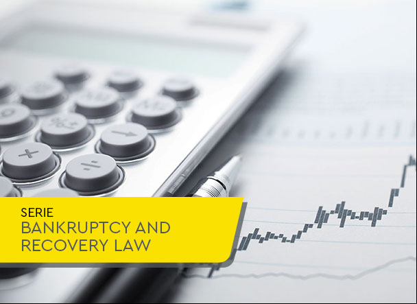Bankruptcy And Recovery Law: discussions on the definition and collection of the tax debt of a bankrupt company