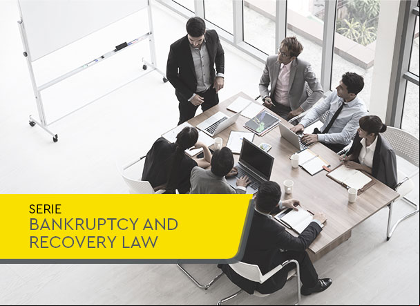 New CNJ resolution regulates issues related to cross-border insolvency proceedings