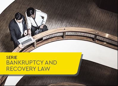 The overthrow of vetoes in the reform of the Law of Recoveries and Bankruptcies and the prestige to overcome the crisis