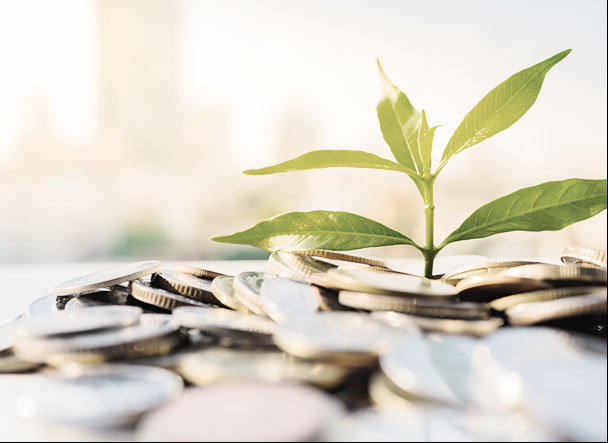 Economia verde ganha força com criação de secretaria
