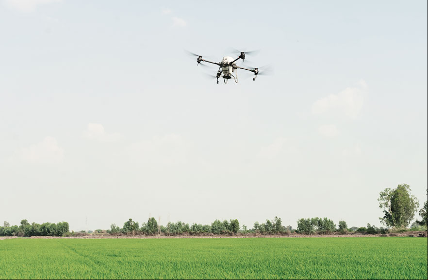 Visão inferior de drone sobrevoando área agrícola
