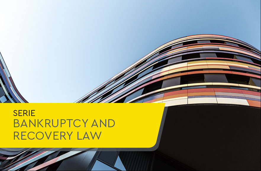 New Bankruptcy and Judicial and Extrajudicial Reorganization Law