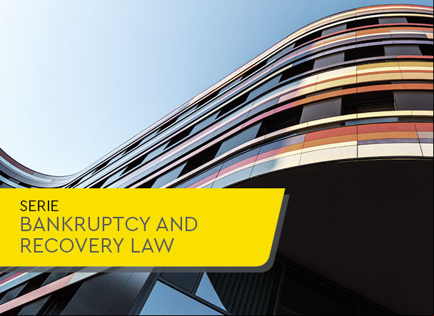 New Bankruptcy and Judicial and Extrajudicial Reorganization Law