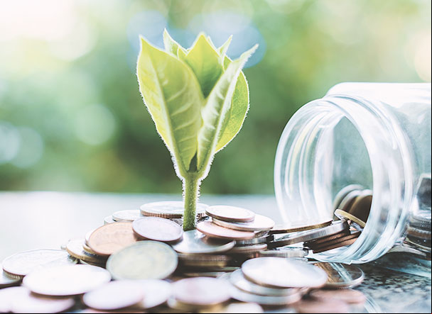 Padronização da divulgação contábil de ativos de sustentabilidade