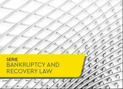 CNJ Recommendation 63/20: guidelines for conducting judicial reorganization and bankruptcy cases during the pandemic