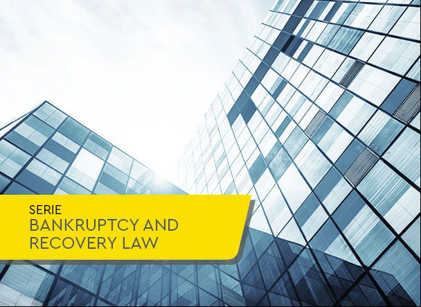Reform of the LRF boosts asset sales in insolvency proceedings
