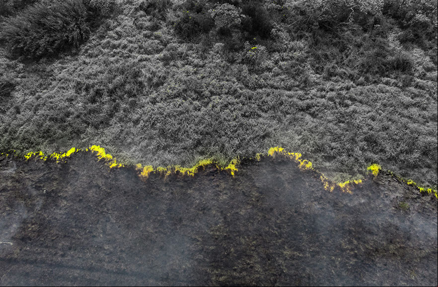 SP amplia sanções para incêndios florestais e mal uso do fogo