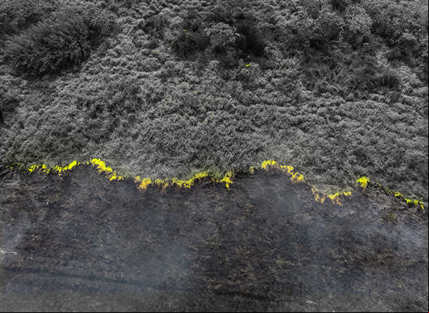 SP amplia sanções para incêndios florestais e mal uso do fogo
