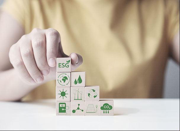 Pessoa segurando cubos pequenos de brinquedo na cor marrom, com representações gráficas impresas em verde