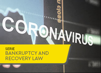 Covid-19 and LFR: an analysis of the measures approved by the House in Bill 1,397/20