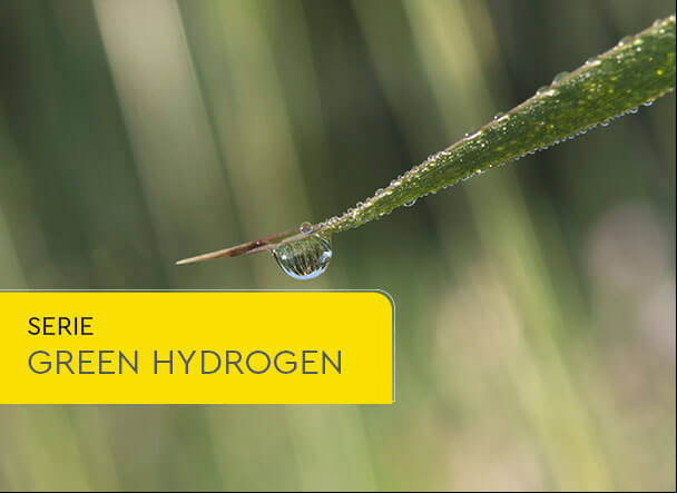Viability of green hydrogen hubs in Brazil